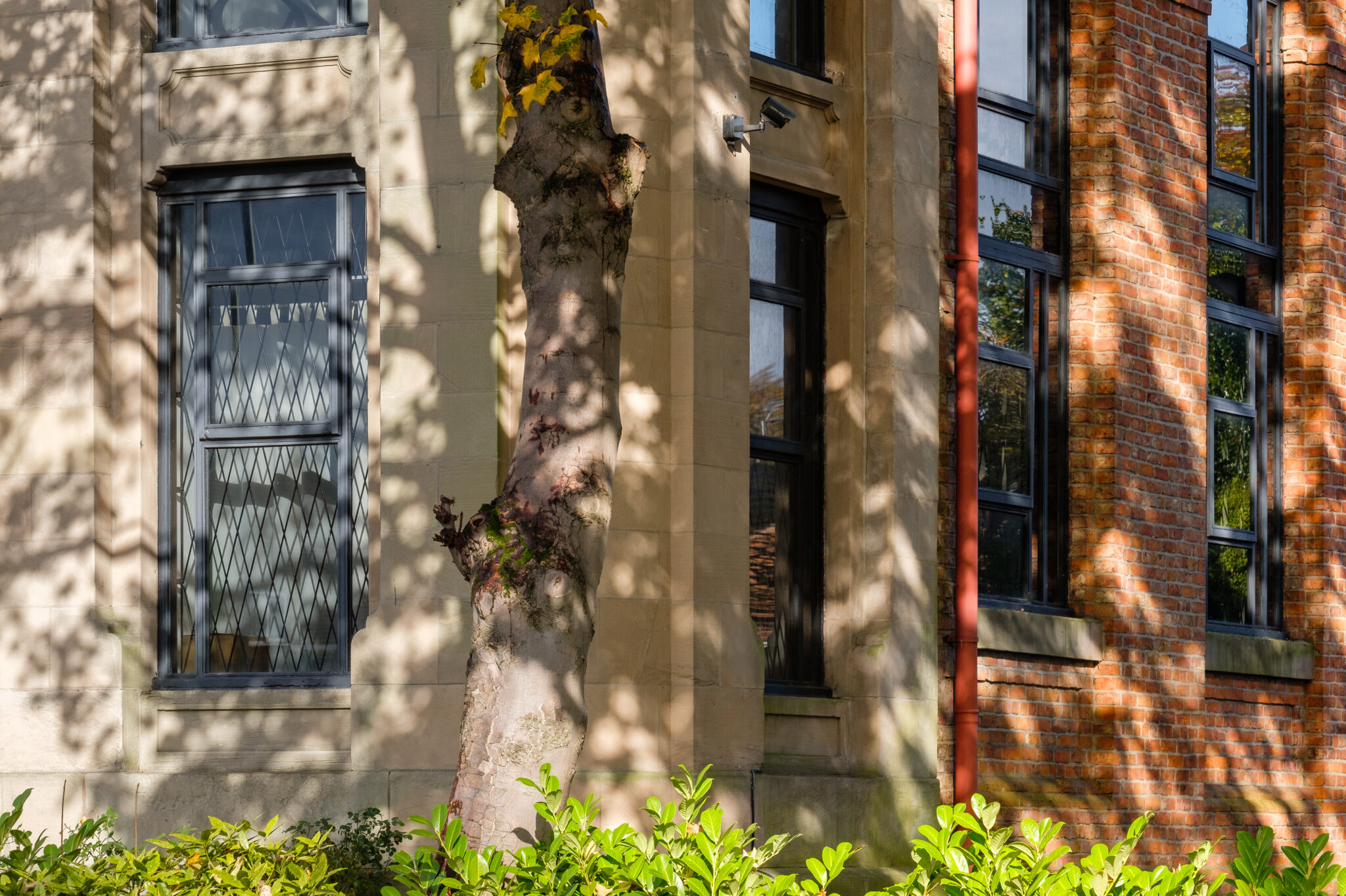 2018-10-26_NC Architecture_Stretford and Bowdon_1390-Edit